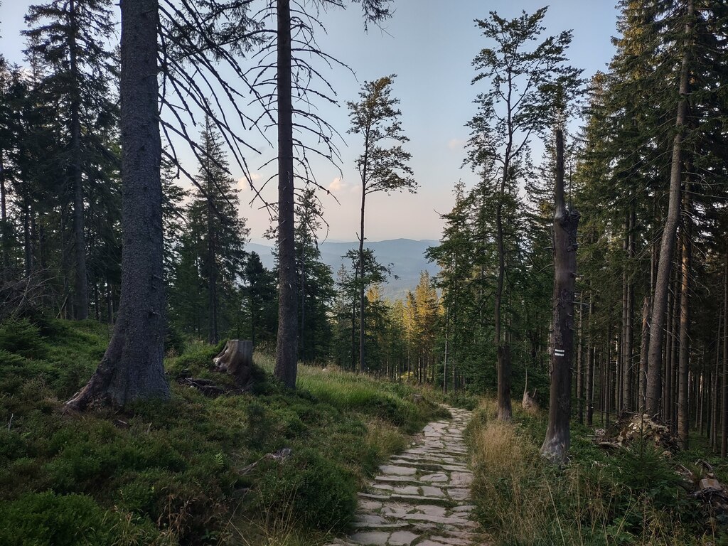 Zejście z Babiej Góry